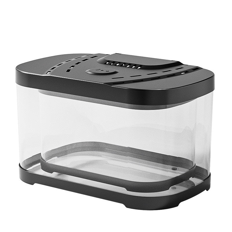 Clear Plastic Fish Tank