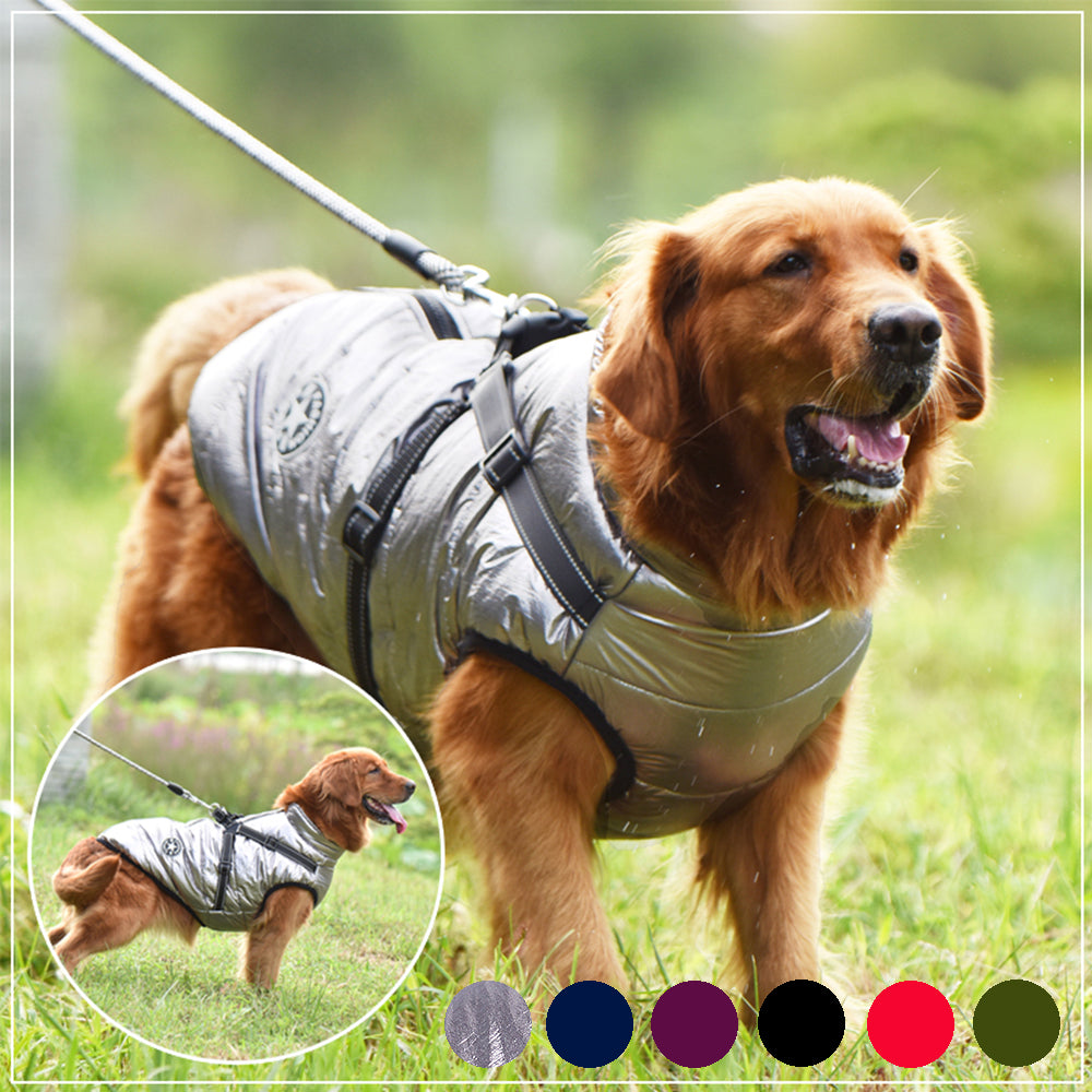 🐶 Warm Waterproof Dog Jacket with Harness