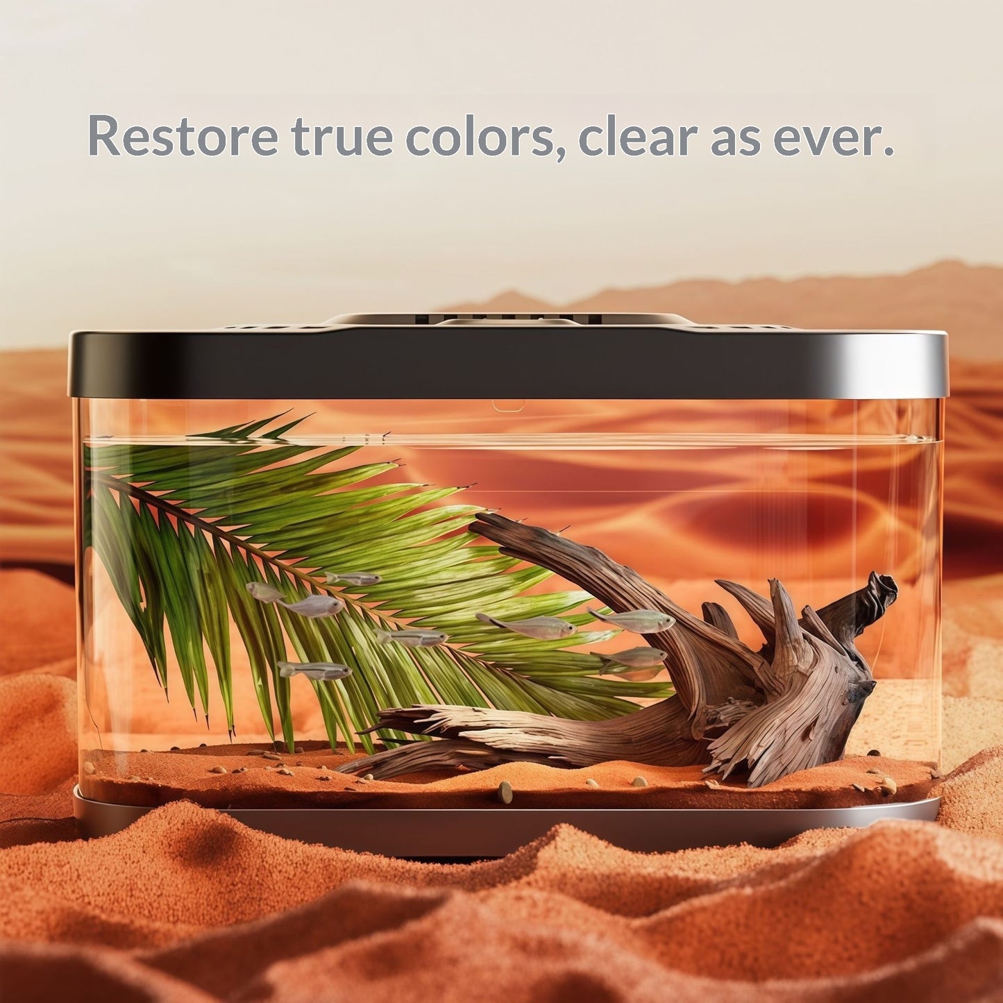 Clear Plastic Fish Tank