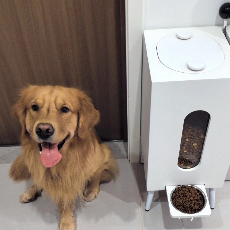 Premium Wooden Elevated Pet Feeder